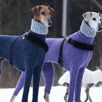Turtleneck Sweater Dogs