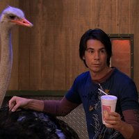 "Whatcha Got There?" "A Smoothie"