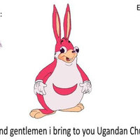 Ugandan Chungus Ugandan Chungus