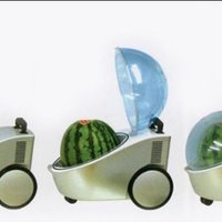 Portable Watermelon Cooler Portable Watermelon Cooler