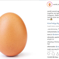 World Record Egg World Record Egg