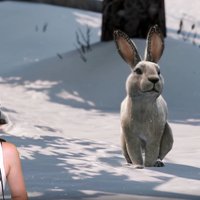 That's the Cutest Fucking Thing I've Ever Seen That's the Cutest Fucking Thing I've Ever Seen