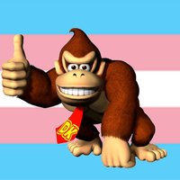 Hbomberguy's Donkey Kong 64 Trans Charity Marathon Stream