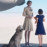 Ace Combat JPEG Dog Ace Combat JPEG Dog