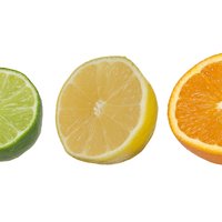 Citrus Scale