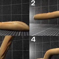 If a Baguette Could Move