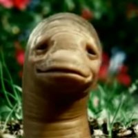 MSN Earthworm / VineMeat