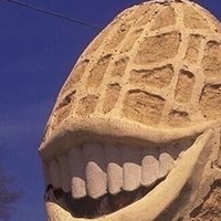 This Pleases the Nut