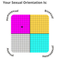 IDRlabs Sexual Orientation Test