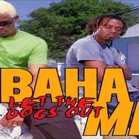 Who Let the Dogs Out?