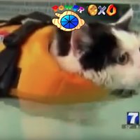 Super Mario 64 IRL Edits