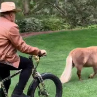 Arnold Schwarzenegger Chasing a Pony on a Bike Arnold Schwarzenegger Chasing a Pony on a Bike