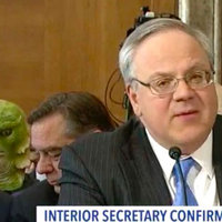 Congressional Hearing Swamp Monsters