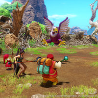 Dragon Quest Dragon Quest