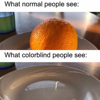 What Colorblind People See What Colorblind People See