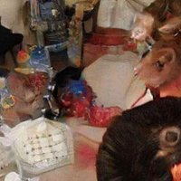 Name One Thing In This Photo Name one thing in this photo | Image with many object but none are discernible which is how it feels when having a stroke in certain parts of the brain