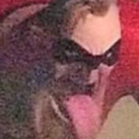 Mr. Incredible's Tongue