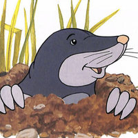 Mole Dude