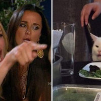 Woman Yelling At Cat - Taylor Armstrong left and Smudge The Cat at a dinner table on the right.