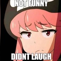 Not Funny, Didn't Laugh