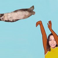 Alinity Cat Abuse