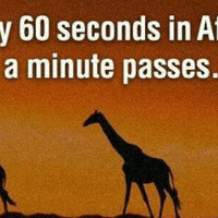 Every 60 Seconds in Africa a Minute Passes