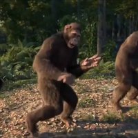 three 3d cgi chimpanzees standing upright and dancing in a row