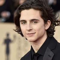Did Timothée Chalamet Really Go Bald? The Viral Hoax-Turned-Meme