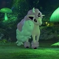Pokémon Sword and Shield 24-Hour Stream