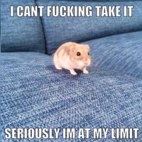 I Can't Take It Anymore, Seriously I'm at My Limit