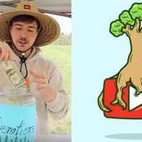 #TeamTrees #TeamTrees