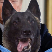 Donald Trump Awards Classified al-Baghdadi Raid Dog