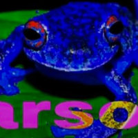 Arson Frog Arson Frog