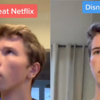 Disney+ vs. Netflix