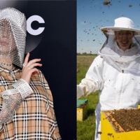 Billie Eilish Beekeeper Billie Eilish Beekeeper