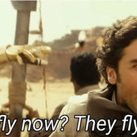 They Fly Now They Fly Now
