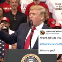 #WhatLiberalsCallThanksgiving #WhatLiberalsCallThanksgiving