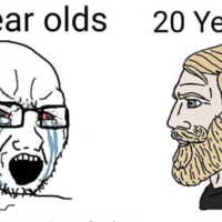 Gab's Anti-Porn Memes 30 Year olds vs 20 year olds crying wojak with scraggly beard next to nordic gamer with full beard
