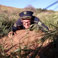 Content Cop Content Cop