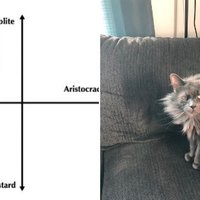 Victorian Orphan / Aristocracy Cat Scale
