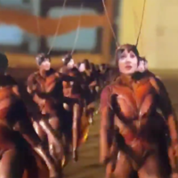 Tap Dancing Cockroaches