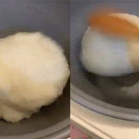Jiggling Ball Of Rice