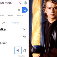 French Google Translate