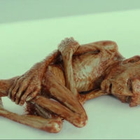 screenshot from the film harry potter and the deathly hallows part 2 voldemort as a small figure covered in red liquid