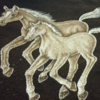 Horse Blanket Girl
