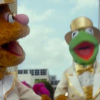 muppets fozzy and kermit the frog wearing white tuxedos and gold hats singing we're doing a sequel in muppets most wanted