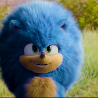 Fluffy Sonic round Sonic the Hedgehog with big fluffy hair