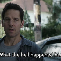 What The Hell Happened Here paul rudd as scott lang in a denim jacket and a grey shirt with the caption "what the hell happened here?" in the film avengers endgame