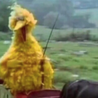 We Ride At Dawn Bitches Image of Big Bird saying "we ride at dawn bitches"