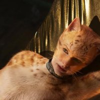 trend after supposed cut of cats film had cgi buttholes on the cats